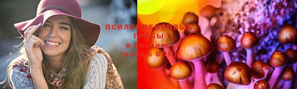 дмт Алзамай